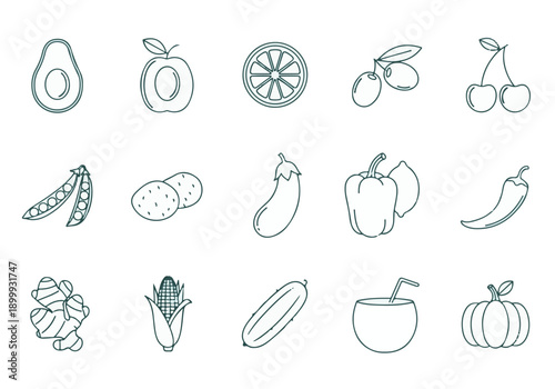 Healthy food outline icons set. Fruit and vegetable vector illustration