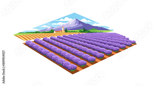 Verdant lavender fields under a majestic mountain landscape