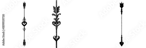 Elegant Black and White Decorative Vine Design