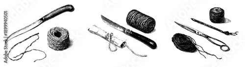 Botanical Grafting Tools in a Herbarium Sketch