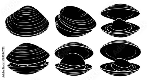 Vector silhouette illustrations of shells in various poses, including closed shells, slightly open shells, and open shells revealing their inner shape.