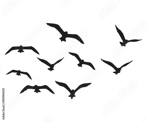 Flock of Flying Birds Silhouette Vector Collection.