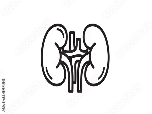 Minimalist vector illustration of human kidneys