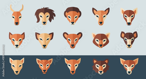 Wildlife faces from around the world on a sunny day