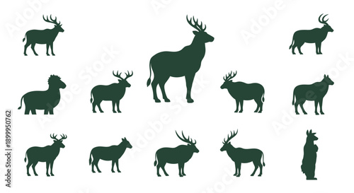 Diverse wildlife of the world on a sunny day