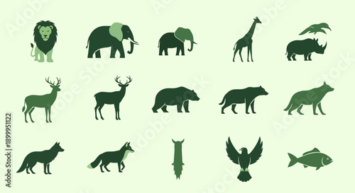 Wildlife from around the world on a sunny day