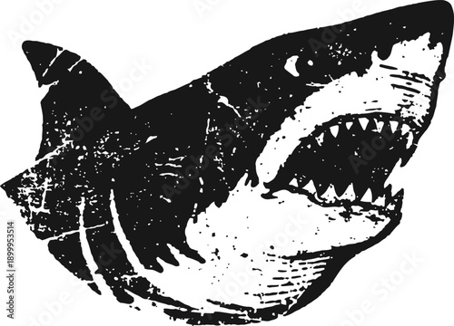 Aggressive great white shark with open mouth and sharp teeth detailed ink drawing