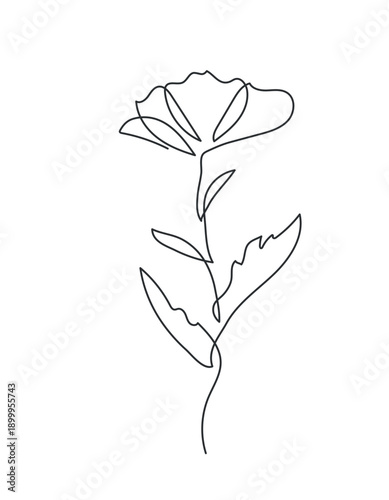 One line art flower botanical vector illustration. Continuous line drawing of a poppy with stem and leaves. Minimalist floral vector for logo and aesthetic design