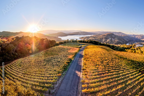 Foto Aerial view of vineyards in the eastern hills of the Napa Valley AVA overlooking Lake Hennessey reservoir at sunset in Napa County, California, USA