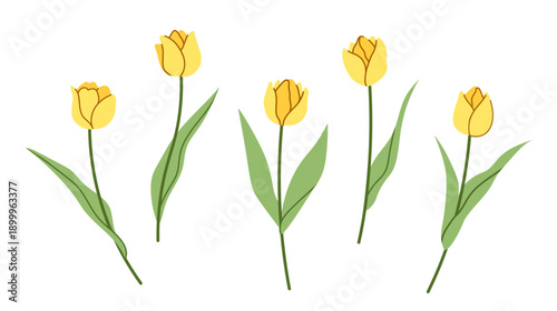 Wallpaper Mural Minimalistic design with  tulips in yellow. Perfect for floral themes, spring designs, and botanical decor. Torontodigital.ca