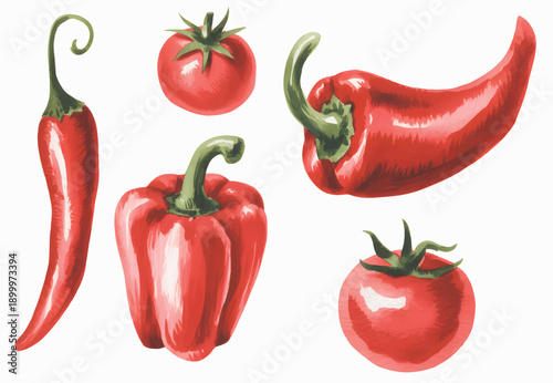 Fresh Organic Beetroot Watercolor Botanical Illustration for Kitchen, Cooking, and Nutrition Themes