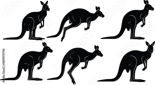 Kangaroo silhouettes vector set featuring jumping and standing poses, Australian wildlife animals, isolated black nature illustration collection