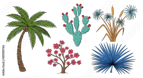 Collection of Diverse Tropical and Desert Flora Including a Palm Tree, Cactus, Flowering Tree, and Exotic Plants on a White Background