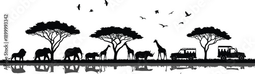 African safari wildlife silhouette with elephants giraffes lion rhinoceros acacia trees birds and safari vehicles, savanna nature landscape illustration black white vector