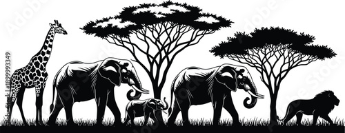 African safari wildlife silhouette with elephants giraffe lion and acacia trees, savanna landscape illustration, nature conservation concept, black white art