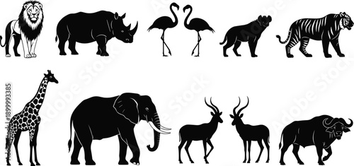 African wild animal silhouettes collection including lion elephant giraffe tiger rhino flamingo antelope buffalo, black white vector illustration set