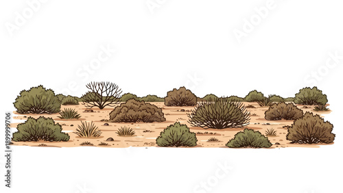 An illustrated panoramic view of a vast arid desert landscape showcasing diverse resilient scrubland vegetation and dry soil textures under an open