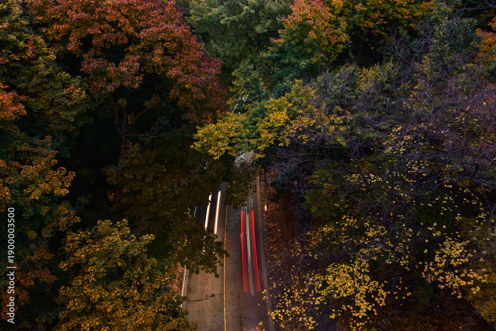 Naklejka premium Light Trails of Cars with Autumn Foliage in Toronto, Ontario, Canada
