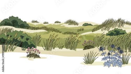 An artistic illustration of a wild coastal dune landscape featuring resilient grasses, indigenous shrubs, and distinctive flowering plants thriving