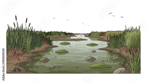 Vivid cartoon portraying tranquil wetland habitat scene. Features winding river, tall green reeds, floating moss, distinct rocks, a small crab,