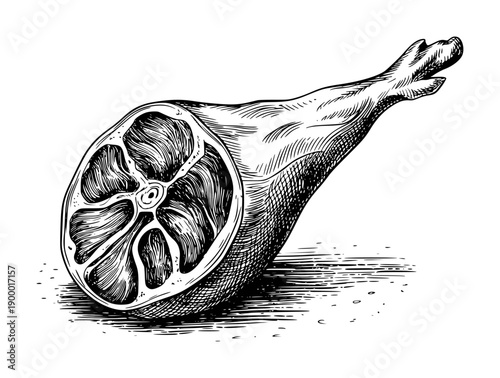 Black and white ink of a cross-section of a cured ham leg with visible muscle fibers and bone