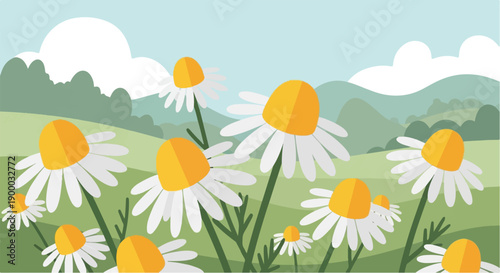 Field of daisies under rolling hills and cloudy sky, flat style