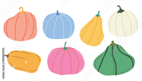 A colorful illustration of various pumpkins and squash on a white background