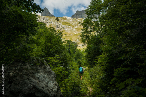 Hiker going through a forest