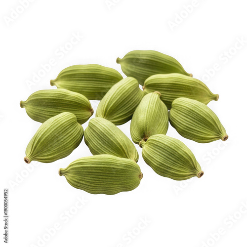 Wallpaper Mural Freshly harvested green hops used in brewing craft beers and ales isolated on transparent background Torontodigital.ca