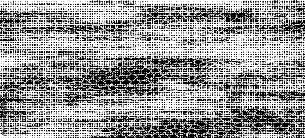 Obraz premium Snakeskin pattern imitation. Lines and spots structural texture. Cool and artsy faux leather background. Abstract vector illustration. Black isolated on white. EPS10
