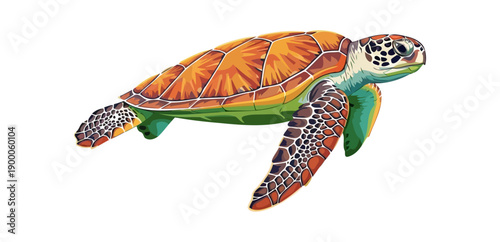 Colorful sea turtle swimming gracefully through open ocean water