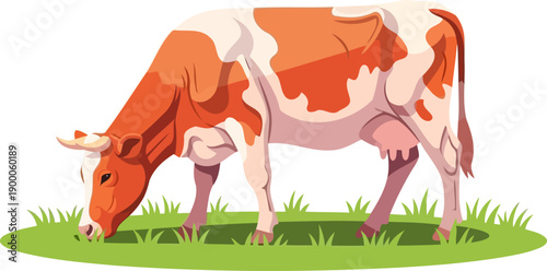 Dairy cow grazing on lush green meadow pasture