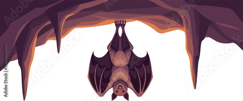 Fruit bat hanging upside down from a dark cave ceiling