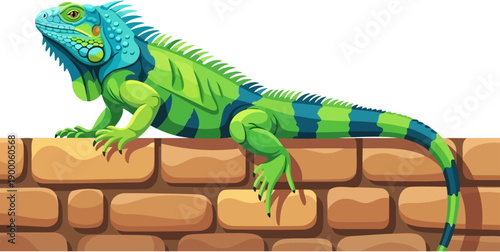Green iguana resting on a sun-warmed brick wall