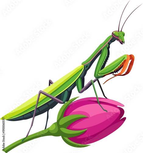 Green praying mantis perched on pink flower bud