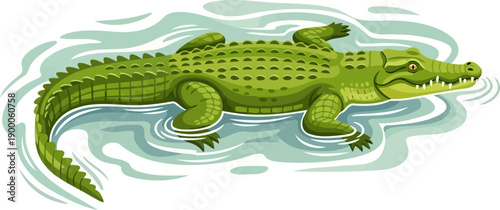 Large green crocodile floating in murky swamp water