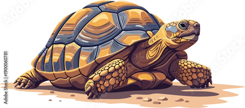 Large land tortoise with detailed shell pattern on sand