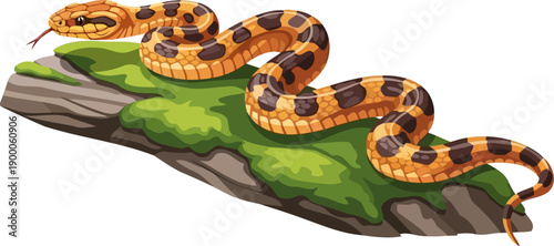 Long patterned snake crawling over a moss-covered log