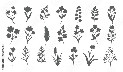 Grey botanical leaf and floral plant silhouette elements set