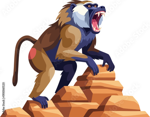 Screaming baboon climbing on desert rocks