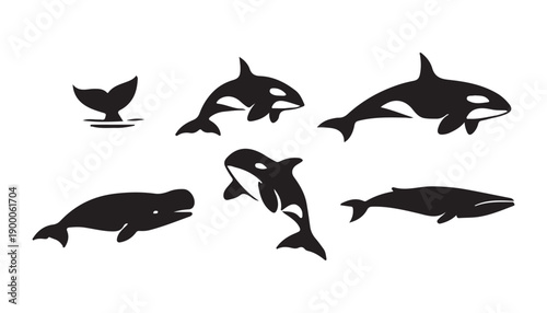 Oceanic Whale and Orca Silhouettes Set Marine Mammal Vector Illustration Collection