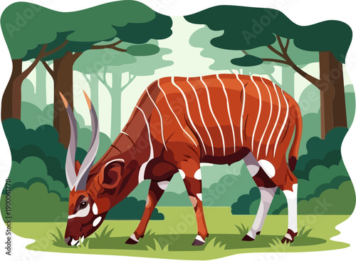 Striped bongo antelope grazing in a dense forest clearing