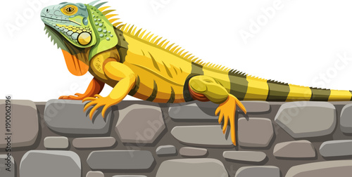 Yellow green iguana lizard sunbathing on a stone wall illustration