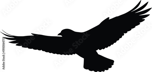 Flying bird silhouette illustration, eagle in flight vector, wildlife nature design, freedom wings spread art