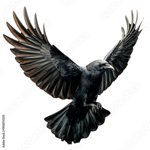 Black Raven with Spread Wings Isolated on Transparent Background, Symbol of Mystery and Power