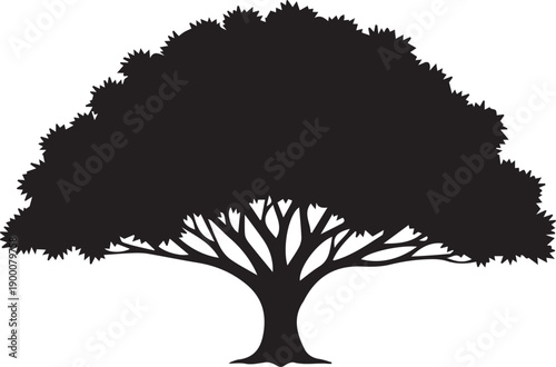 Large mature tree silhouette with wide spreading branches and dense foliage natural vector
