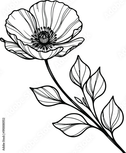 Dark Silhouette Rose Flower Against Deep Black Background for Elegant Minimalist Design