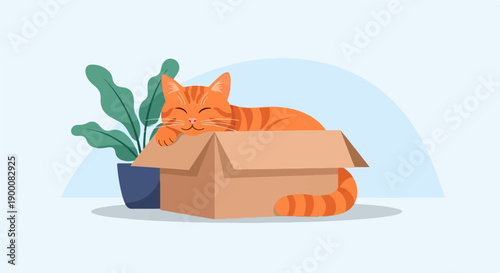 Orange tabby cat sleeping in a cardboard box next to a potted plant