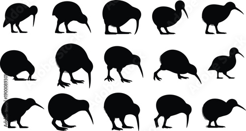 Kiwi bird silhouette set, various poses, walking, standing, crouching, beak angles, body shapes, black vector, isolated, wildlife graphic, nature theme