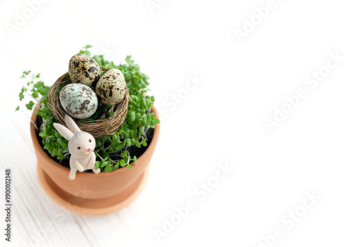 Vászonkép cute Easter bunny figurine, eggs in nest and micro greens in pot on white background